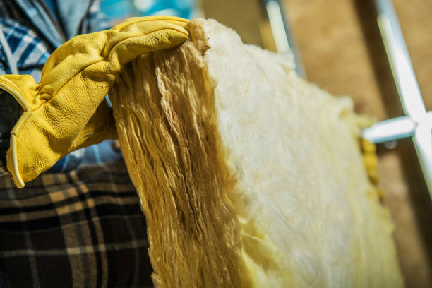 Best Local Insulation Services  in Vonore, TN