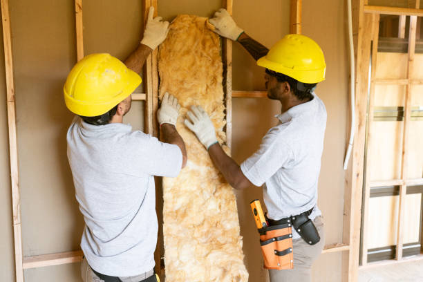 Best Cellulose Insulation  in Vonore, TN