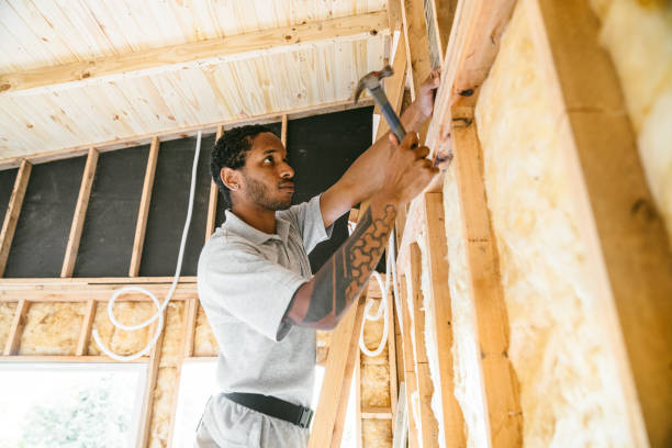 Best Insulation Contractor Near Me  in Vonore, TN